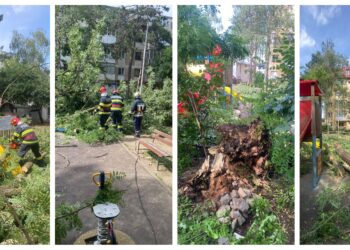 VIDEO Un copil a ajuns la spital, după ce un copac a căzut în parcul din zona Piața Mică