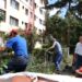 VIDEO Viceprimarul Sucevei, Lucian Harșovschi, a început curățarea orașului de ”improvizațiile” învechite făcute de unii suceveni. Gardurile metalice sau din lemn care afectează aspectul străzilor și siguranța cetățenilor vor dispărea