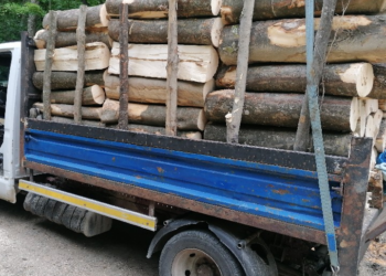 FOTO Garda Forestieră Suceava a amendat cu 6.000 de lei o firmă din Baia, care a efectuat 211 transporturi ilegale de material lemnos