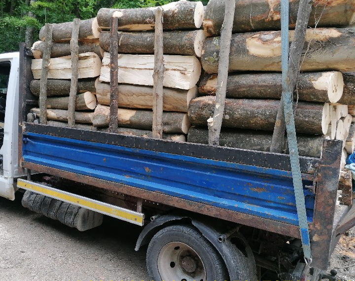 FOTO Garda Forestieră Suceava a amendat cu 6.000 de lei o firmă din Baia, care a efectuat 211 transporturi ilegale de material lemnos
