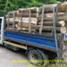 FOTO Garda Forestieră Suceava a amendat cu 6.000 de lei o firmă din Baia, care a efectuat 211 transporturi ilegale de material lemnos
