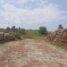 FOTO Polițiștii suceveni au confiscat peste 400 de metri cubi de material lemnos, în cadrul unei acțiuni pe linie silvică