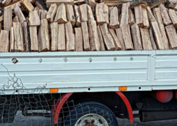 Polițiștii din Marginea i-au venit de hac unui localnic care transporta ilegal puțin peste 3 metri cubi de lemne de foc