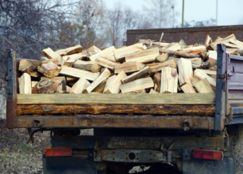 Polițiștii din Marginea i-au venit de hac unui localnic care transporta ilegal puțin peste 3 metri cubi de lemne de foc