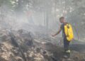 VIDEO Circa 50 de hectare de vegetație uscată, de pe malul râului Moldova, între Capu Câmpului și Valea Moldovei, au fost afectate de un incendiu