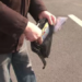 Un bărbat din Liteni a furat o borsetă cu peste 10.000 de euro, din toaleta stației peco OMV din Burdujeni