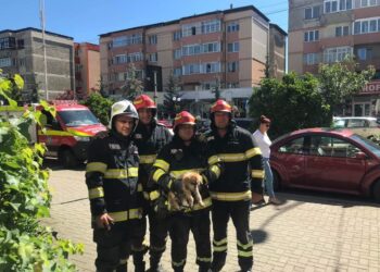 FOTO Pompierii militari au salvat un câine blocat într-o țeavă de scurgere de la demisolul policlinicii municipale din Câmpulung Moldovenesc: ”Scheunatul răsuna din ce în ce mai tare, iar taximetriștii care staționau în zonă s-au alarmat, auzindu-l pe bietul câine ‹cerșind› după ajutor