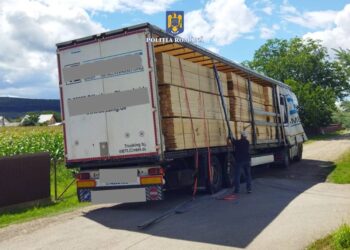 FOTO Polițiștii suceveni au confiscat un camion care transporta ilegal peste 56 de metri cubi de cherestea