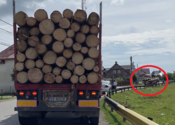 VIDEO Activistul de mediu Daniel Bodnar le-a servit polițiștilor pe tavă două căruțe care transportau ilegal peste 12 mc de material lemnos: ”A fost prins cu camionul și a ales această metodă ca sa fie lăsat în pace și să treacă neobservat”