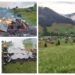 FOTO Pompierii militari suceveni au intervenit la două incendii izbucnite din cauza trăsnetelor directe
