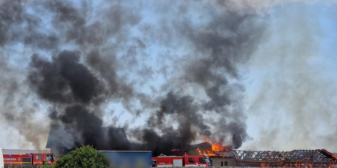 FOTO Incendiu puternic izbucnit la o hală de prelucrare a lemnului din localitatea Valea Moldovei