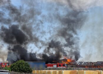 FOTO Incendiu puternic izbucnit la o hală de prelucrare a lemnului din localitatea Valea Moldovei