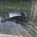 Un bărbat de 69 de ani s-a răsturnat cu un BMW în albia râului Bistrița. Șoferul și doi pasageri au ajuns la spital