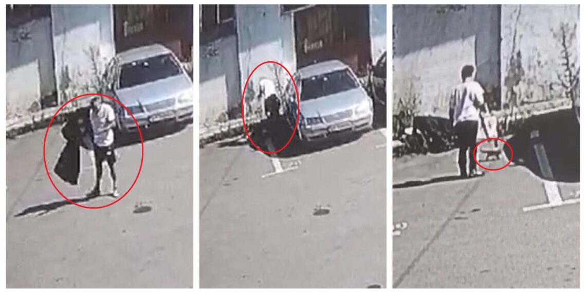 VIDEO Polițiștii suceveni au aplicat amenzi în valoare totală de 8.000 de lei pentru abandonarea animalelor. Un botoșănean a abandonat un câine în Dumbrăveni, iar alt bărbat a lăsat doi pui de pisică, băgați într-un sac, pe raza localității Câmpulung Moldovenesc
