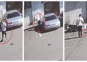 VIDEO Polițiștii suceveni au aplicat amenzi în valoare totală de 8.000 de lei pentru abandonarea animalelor. Un botoșănean a abandonat un câine în Dumbrăveni, iar alt bărbat a lăsat doi pui de pisică, băgați într-un sac, pe raza localității Câmpulung Moldovenesc
