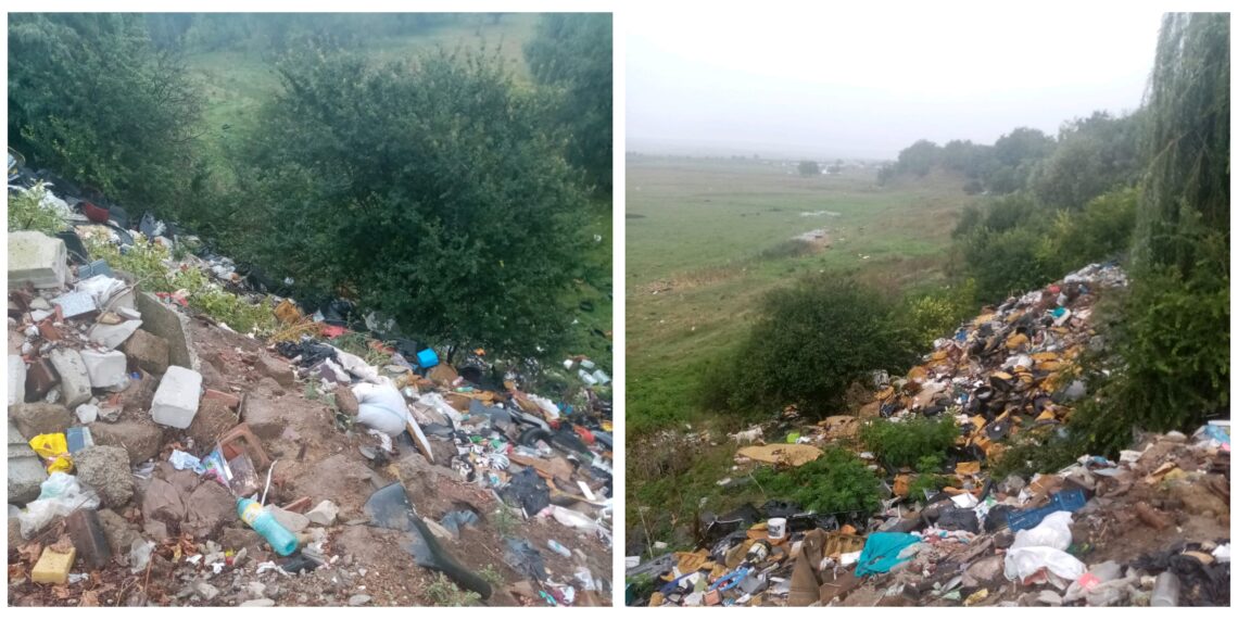 FOTO Garda de Mediu Suceava a aplicat o amendă de 45.000 de lei, pentru o groapă de gunoi amenajată ilegal în Verești, în spatele caselor unor cetățeni de etnie rromă. Primăria trebuie să curețe zona