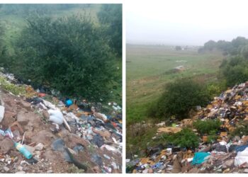 FOTO Garda de Mediu Suceava a aplicat o amendă de 45.000 de lei, pentru o groapă de gunoi amenajată ilegal în Verești, în spatele caselor unor cetățeni de etnie rromă. Primăria trebuie să curețe zona