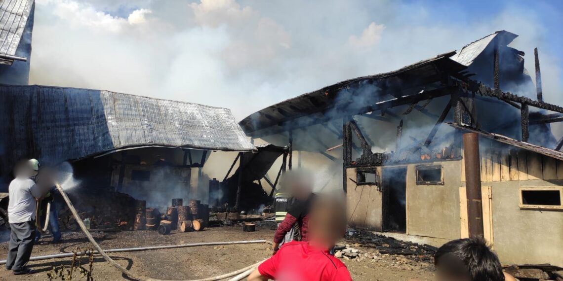VIDEO Incendiu la o gospodărie din Solca, din cauza unui cablu defect