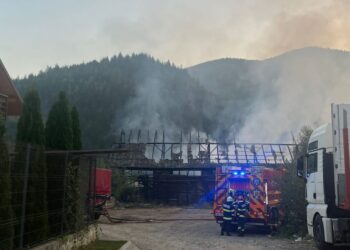 FOTO Hala unui gater din Vama s-a făcut scrum în urma unui incendiu izbucnit la primele ore ale dimineții