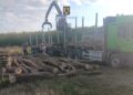 FOTO Polițiștii suceveni au confiscat aproape 200 de metri cubi de material lemnos, în urma unui control la un agent economic din domeniul silvic