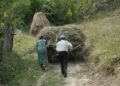 Un bărbat din Izvoarele Sucevei și-a bătut soția, după ce aceasta a deshămat calul de la căruță