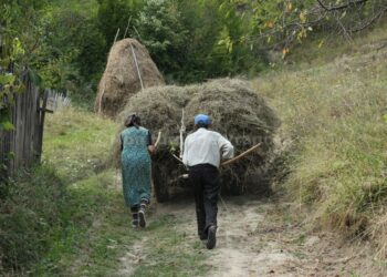 Un bărbat din Izvoarele Sucevei și-a bătut soția, după ce aceasta a deshămat calul de la căruță