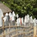 Un tânăr a fost bătut de vecinul care își usca rufele pe gardul său