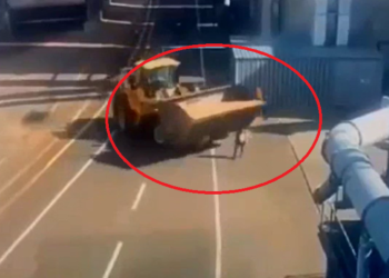 VIDEO Momentul în care o femeie a fost ucisă de o volă, la Egger Rădăuți, a fost surprins de camerele de supraveghere
