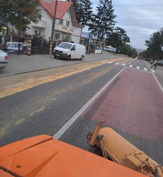 FOTO Un camion din Ucraina a ”semănat” boabe de soia pe DN2, între Dănila și Grănicești