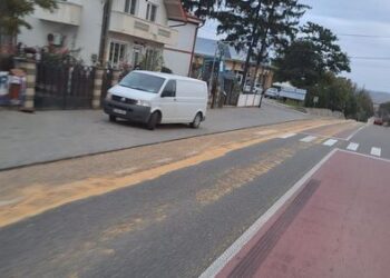 FOTO Un camion din Ucraina a ”semănat” boabe de soia pe DN2, între Dănila și Grănicești
