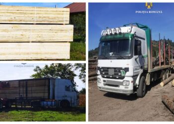 FOTO Polițiștii suceveni au confiscat două ansambluri auto, în valoare de circa 70.000 de euro, folosite la transportul ilegal de material lemnos