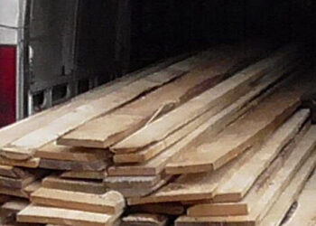 Transport ilegal de material lemnos, identificat în localitatea Frătăuții Noi. Polițiștii au confiscat 4,32 metri cubi de cherestea