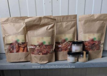 FOTO Un ucrainean a încercat să intre în România, prin PTF Vicovu de Sus, cu 400 de grame de ciuperci halucinogene și 240 de comprimate obținute din aceeași plantă
