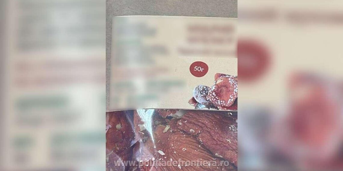 FOTO Un ucrainean a încercat să intre în România, prin PTF Vicovu de Sus, cu 400 de grame de ciuperci halucinogene și 240 de comprimate obținute din aceeași plantă