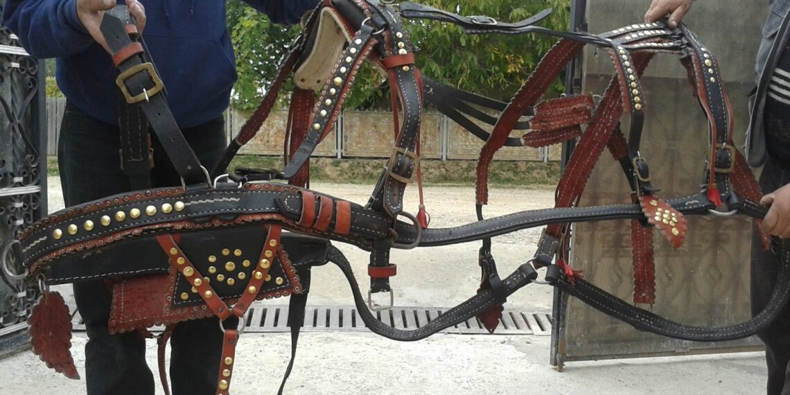 O vicoveancă și-a dat nepotul pe mâinile polițiștilor, după ce acesta a furat două hamuri pentru cal de la un vecin