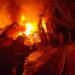 FOTO Incendiu de proporții la o gospodărie din Câmpulung Moldovenesc. Un adăpost de animale, un depozit de furaje și mai multe magazii de lemn s-au făcut scrum