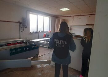 FOTO Polițiștii suceveni l-au săltat pe un patron din Fântânele, care înșela oameni promițându-le că le face articole de mobilier