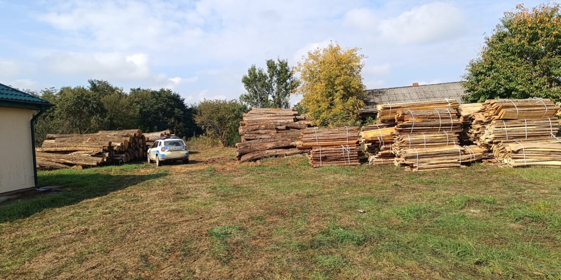 FOTO Polițiștii suceveni au confiscat peste 500 de metri cubi de lemn de la un gater din Liteni, după ce au luat la puricat punctele de lucru ale firmei