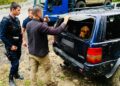 FOTO Jandarmii humoreni i-au încurcat socotelile unui bărbat care strângea trufe ilegal, folosindu-se de câini special antrenați. Acesta a primit o amendă de 2.000 de lei și i-a fost confiscată cantitatea de aproximativ două kilograme de trufe