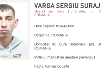 Peste 100 de infractori din Suceava sunt dați în urmărire națională. Majoritatea au ales calea străinătății