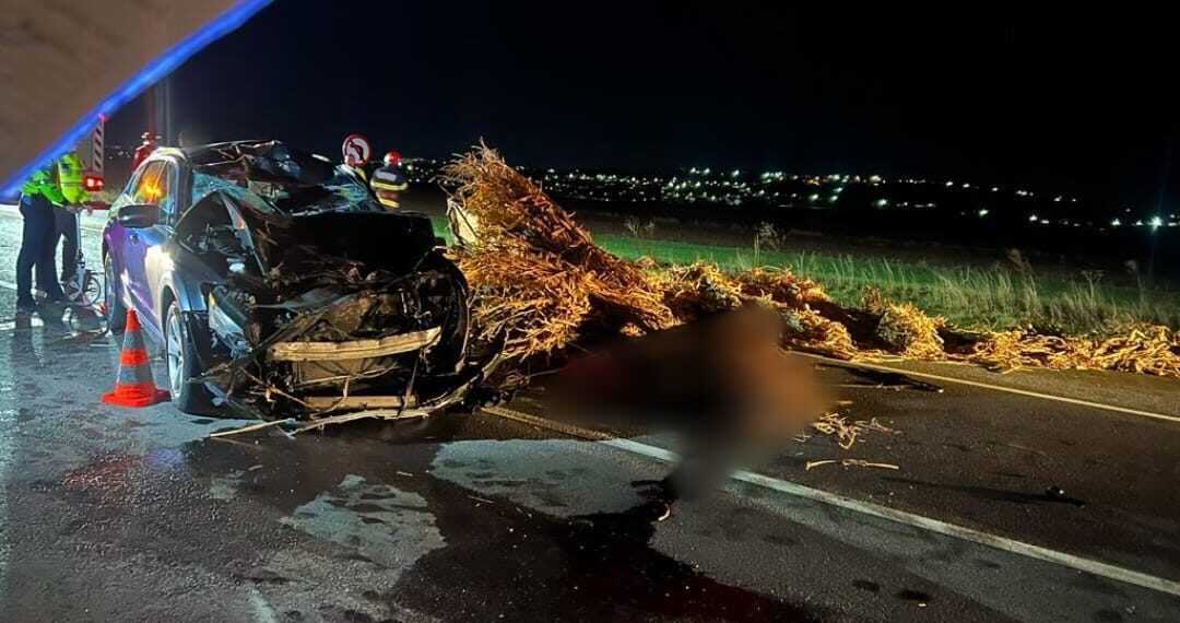 FOTO O căruță a fost spulberată de un autoturism, în apropiere de ”Zidul Morții”. Trei persoane au fost rănite, printre care un copil de 12 ani. Calul a murit