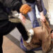 Un bărbat a fost bătut de fratele său și de tatăl lor, după ce s-au certat pe seama anulării unui contract de întreținere a bunicii victimei. Agresorii au fost condamnați la câte o amendă de 4.000 de lei