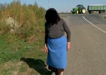 O bătrână de 80 de ani a fost condamnată la o amendă penală de 2.600 de lei, pentru distrugerea culturii de măzăriche a două nepoate. Femeia era nemulțumită că nu a moștenit terenul în cauză