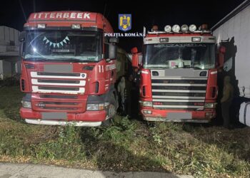 FOTO Polițiștii suceveni au confiscat două camioane care transportau ilegal lemne pe raza județului. Ambele autoutilitare au fost luate din depozitul unei firme din localitatea Deia