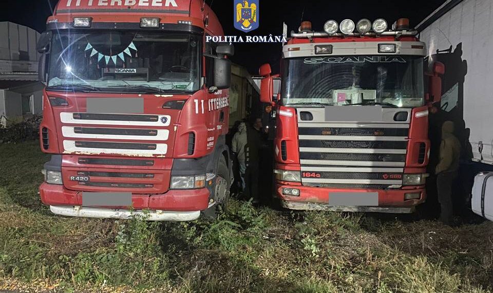 FOTO Polițiștii suceveni au confiscat două camioane care transportau ilegal lemne pe raza județului. Ambele autoutilitare au fost luate din depozitul unei firme din localitatea Deia