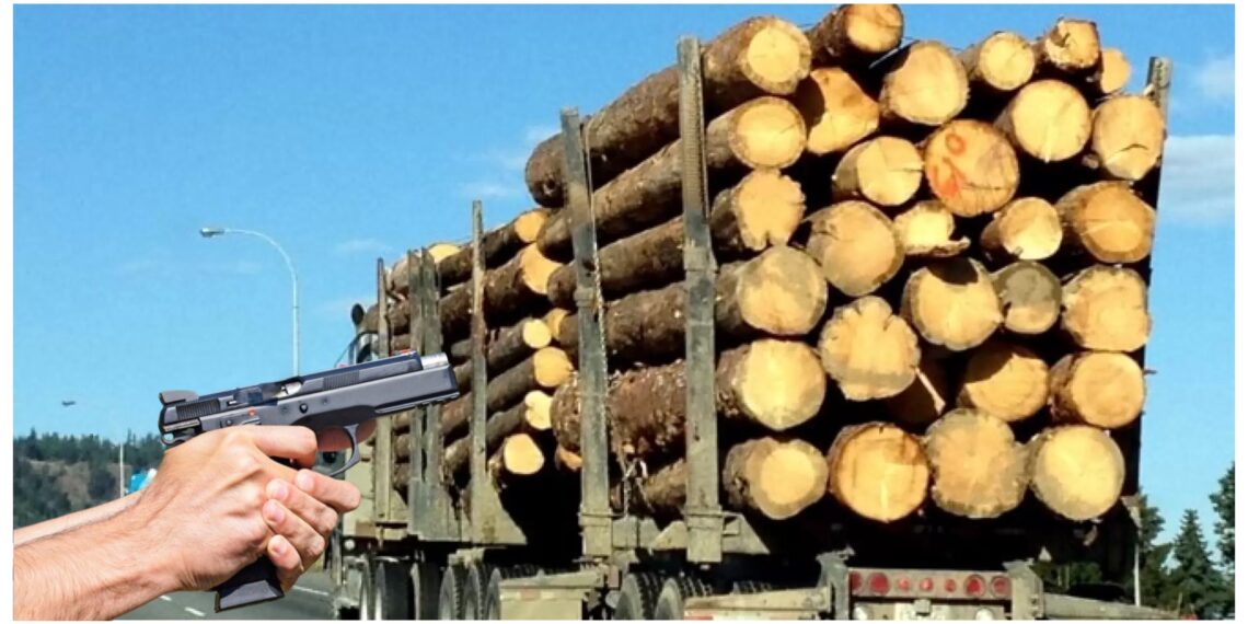 Justiția favorizează ”Mafia Lemnului”? Pedeapsă blândă pentru un individ care a încărcat cu bușteni până la refuz un ansamblu rutier, și-a bătut joc de un echipaj de poliție de mai multe ori și întrecut cu oamenii legii, pe raza comunei Râșca, sub o ploaie de gloanțe. Bărbatul a predat ansamblul de vehicule după ce l-a ”chelit”