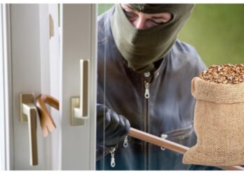 Judecătoria Fălticeni l-a pedepsit doar cu un avertisment pe un individ care a spart o casă din Dolhasca pentru a furat un sac cu miez de nucă. Hoțul a plimbat miezul de nucă până în Pașcani, pentru a-l vinde cu 330 de lei