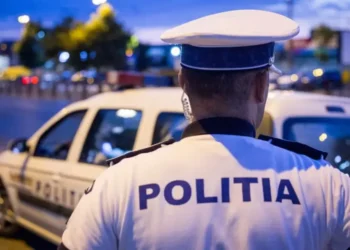 Razie de amploare desfășurată de polițiștii din Gura Humorului. Bunuri contrafăcute, lemn confiscat, percheziții efectuate, dosare penale întocmite și sancțiuni contravenționale aplicate de polițiști