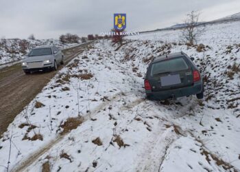 FOTO Un teribilist de 21 de ani a ajuns în arestul IPJ Suceava, după o urmărire cu focuri de armă, ca în filme. Individul a sărit din mașina aflată în deplasare și s-a făcut nevăzut într-o pădure