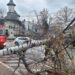 VIDEO Un copac a căzut pe strada din fața Teatrului ”Matei Vișniec”, din Suceava